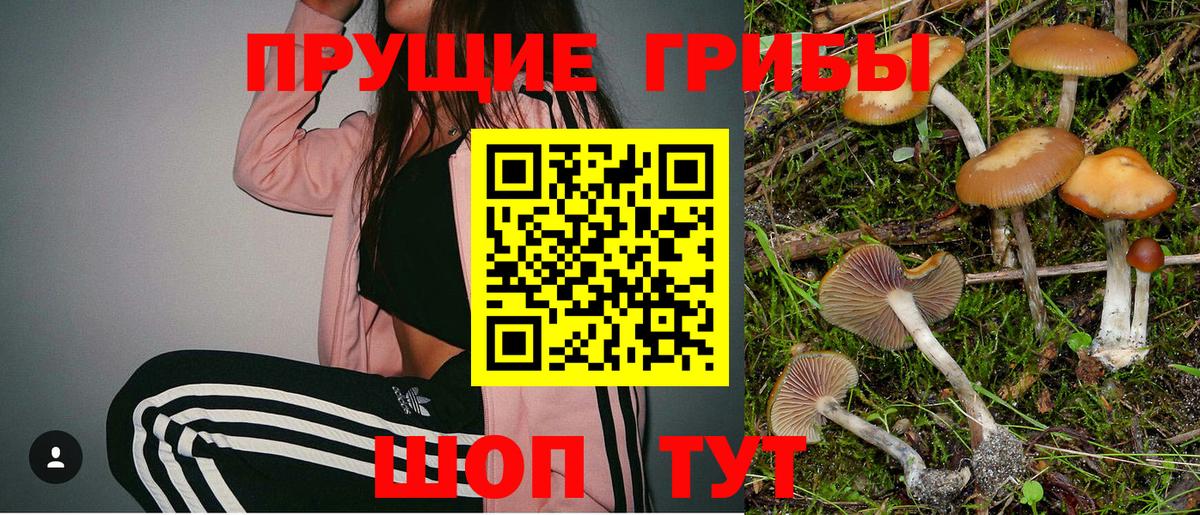 даркнет сайт  Галлюциногенные грибы Psilocybe  Вход с VPN  Галлюциногенные грибы Cubensis  Ногинск 